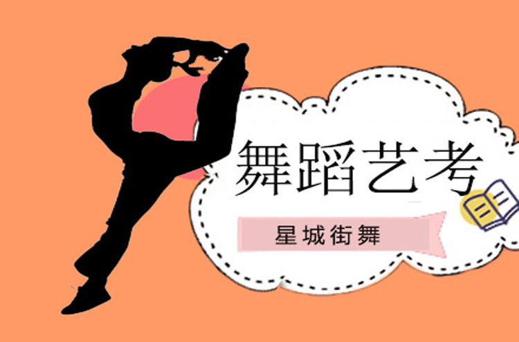 北京公主坟街舞艺考培训班