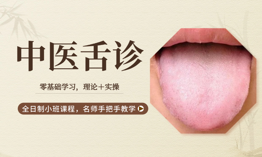 陕西中医舌诊实操班