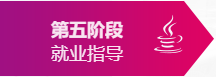 第五阶段：就业指导 