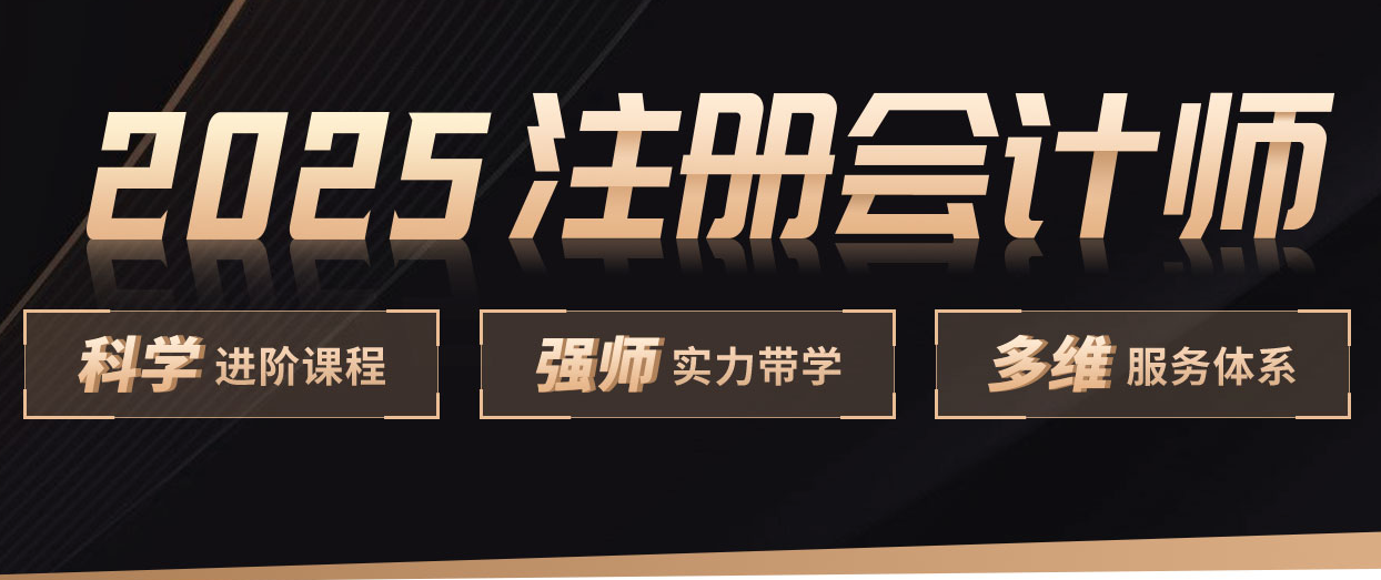 2025注册会计师培训 2025注册会计师培训
